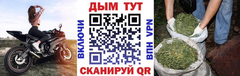 Марихуана OG Kush  Опочка 